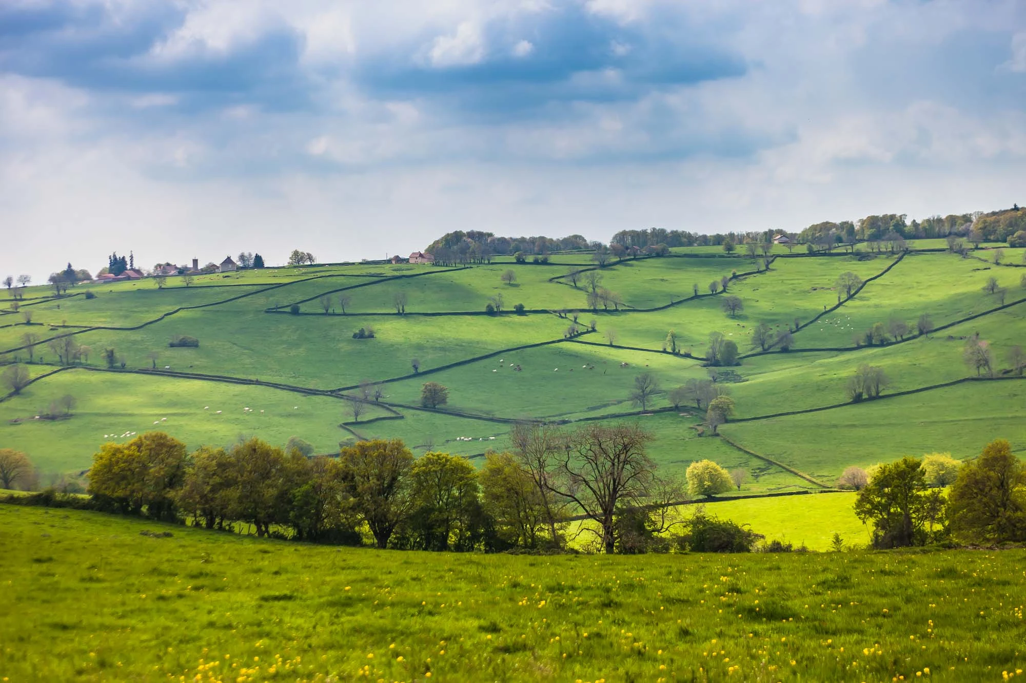 Paysage charollais