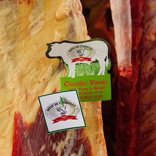 viandes-boeuf-e-charoolas