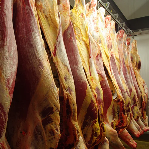 charollais-viandes-carca