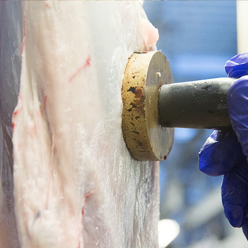 charollais-viandes-tampon